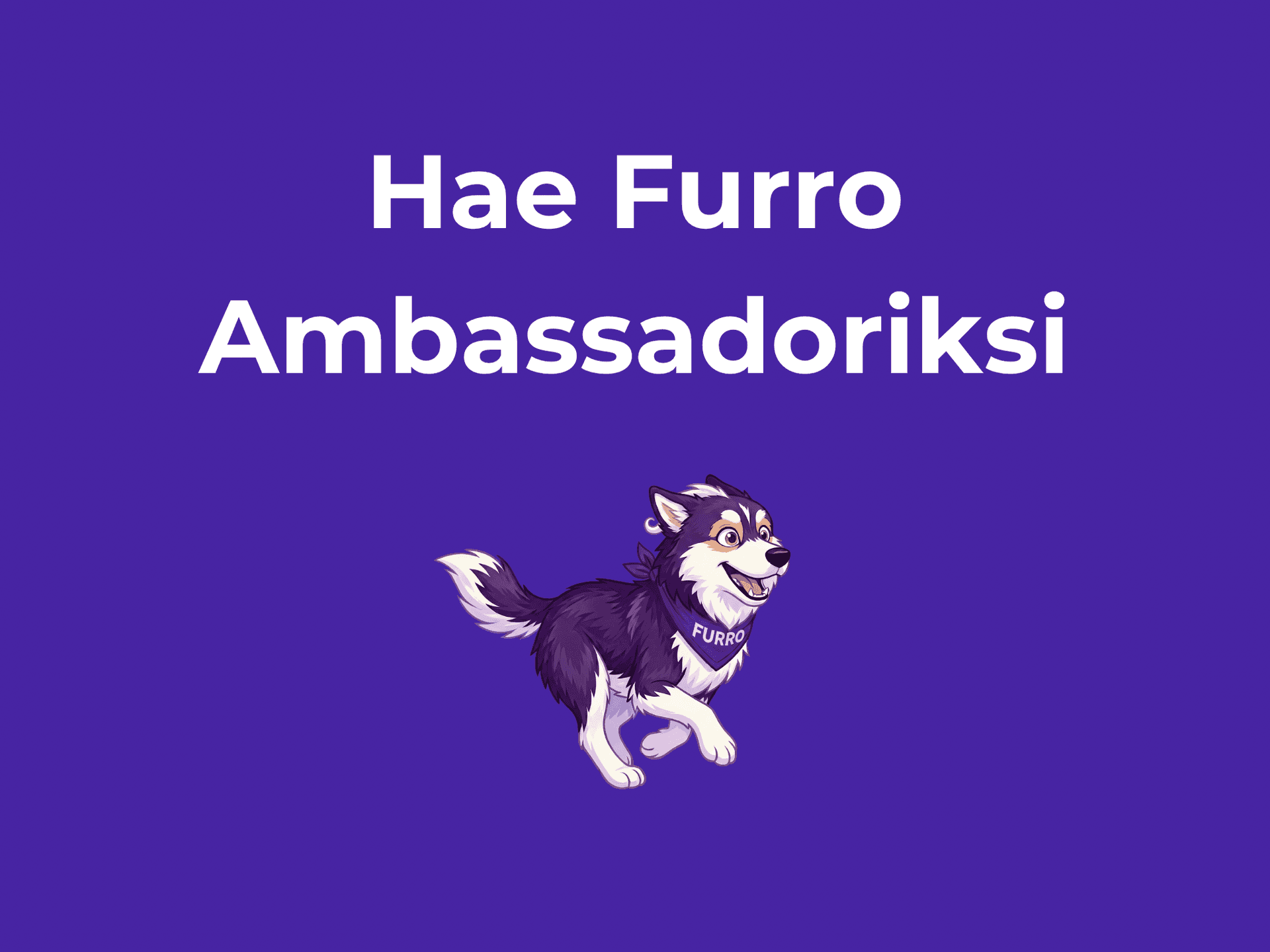 Hae Furro Ambassadoriksi