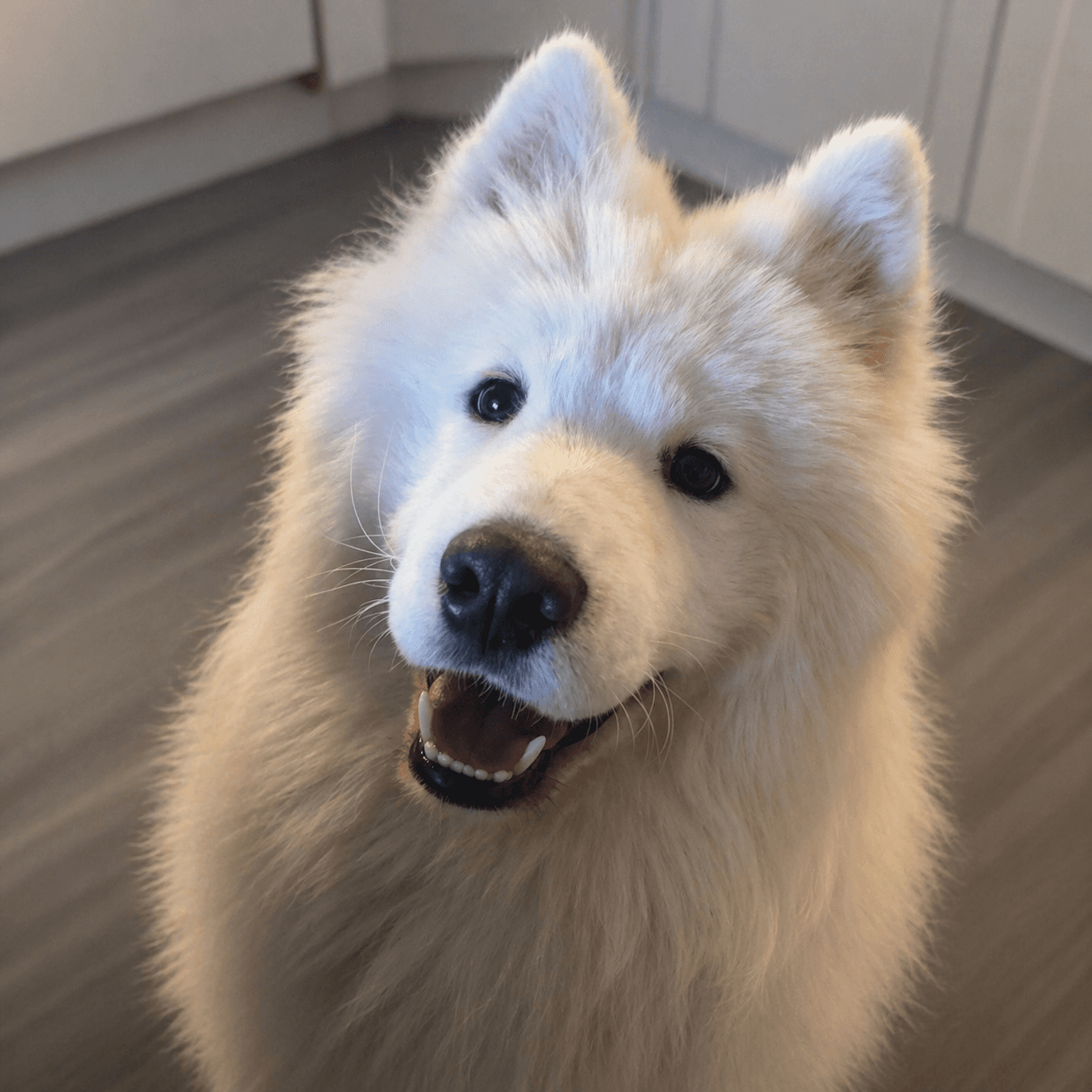 Jäsentarina: Annika löysi Furron kautta uuden luottoklinikan