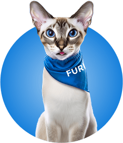 Cat with FURRO bandana