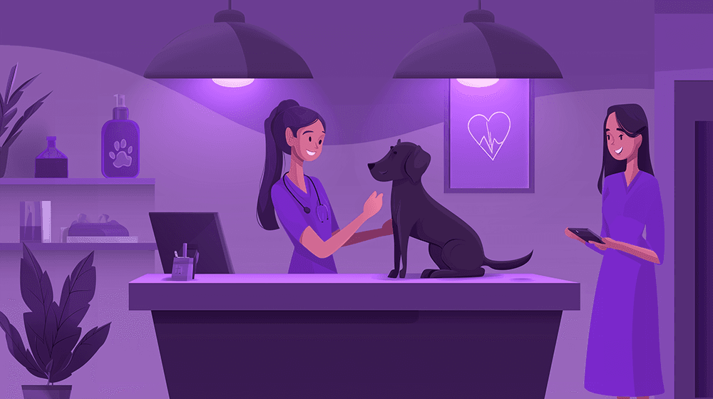 Furro tiimi työssä