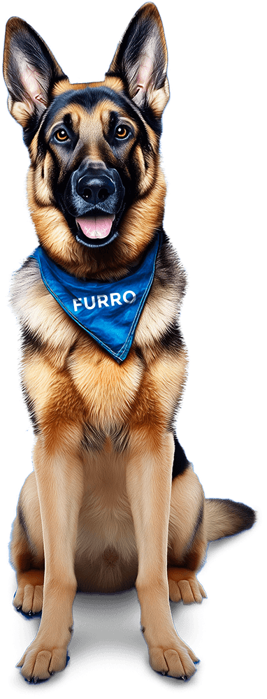 German Shepherd with FURRO bandana