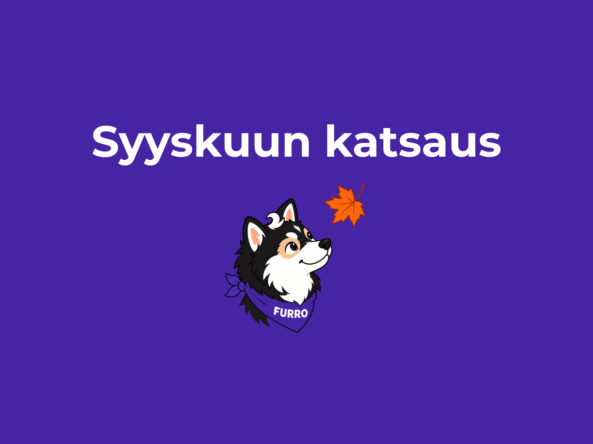 Syyskuu Furrossa: yli 500 uutta lemmikkiä ja maksut vain 38 % hintakatosta