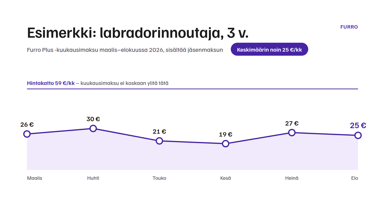Esimerkki: labradorinnoutaja, 3 v.