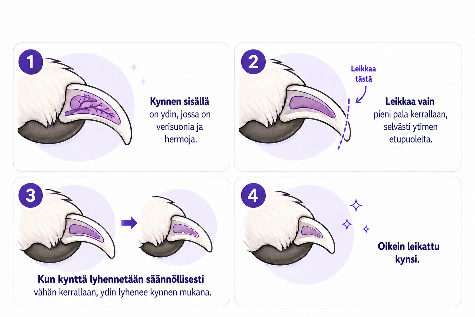 Näin leikkaat koiran kynnet oikein